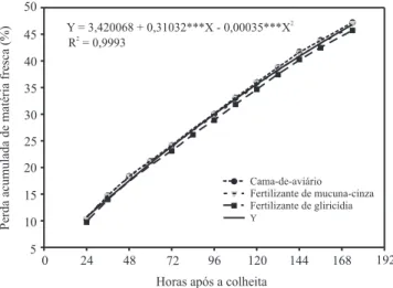 Figura 3. Perda acumulada de massa de matéria fresca, em bancada do laboratório, de alface (cultivar Vera), conduzida sob manejo orgânico e colhida aos 44 dias após o transplantio das mudas, em razão de três tipos de adubação orgânica de cobertura