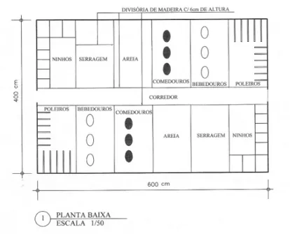 FIGURA 1 - Gaiola enriquecida 