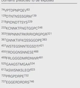 Table 1. Amino acid sequences of the envelope glycoprotein of HIV-1 IIIB predicted to be exposed.