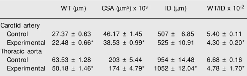 Table 1. Geometry of the carotid artery and thoracic aorta of offspring of nitric oxide- oxide-defective rats