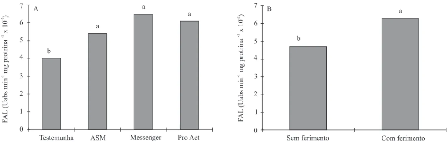 Figura 1. Efeito dos eliciadores ASM, Messenger e Pro Act (A) e da condição de inoculação nos frutos, com e sem ferimento (B), na atividade da enzima fenilalanina amônia-liase (FAL), em frutos de pessegueiro seleção 'Conserva 681', infectados com Monilinia