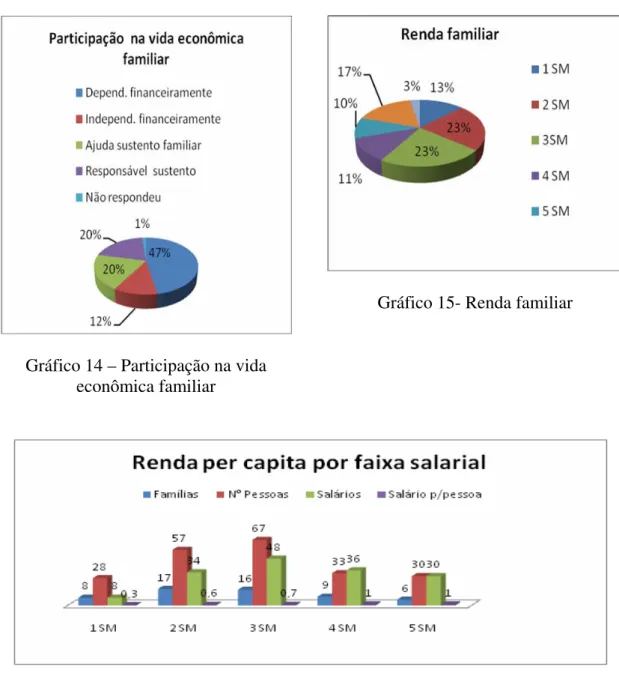 Gráfico 15- Renda familiar 