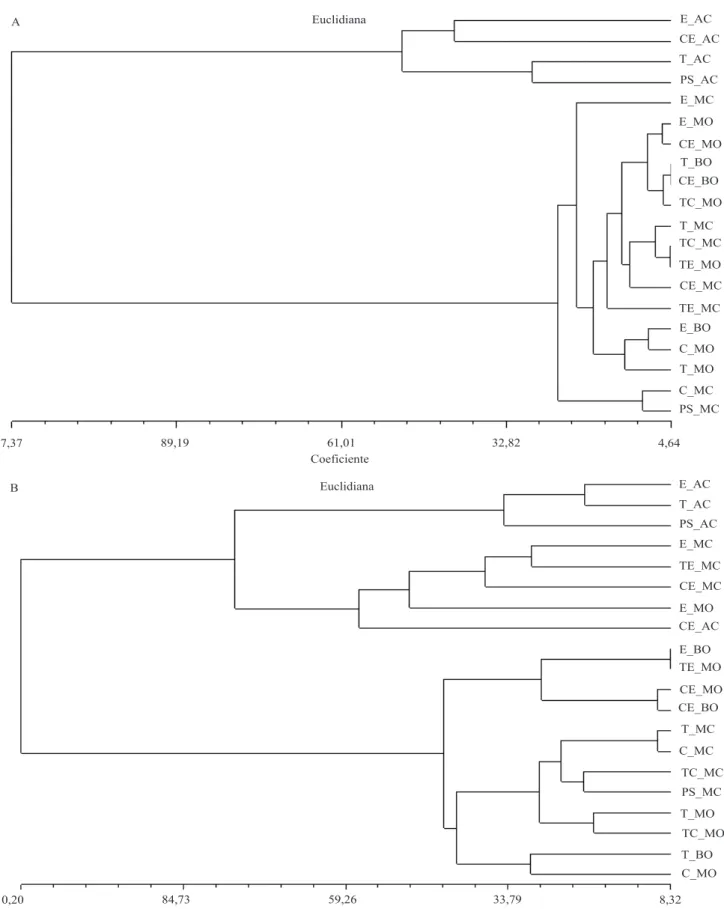 Figura 1. Dendrogramas de dissimilaridade dos tratamentos estudados, em julho de 2002 (A) e setembro de 2005 (B)