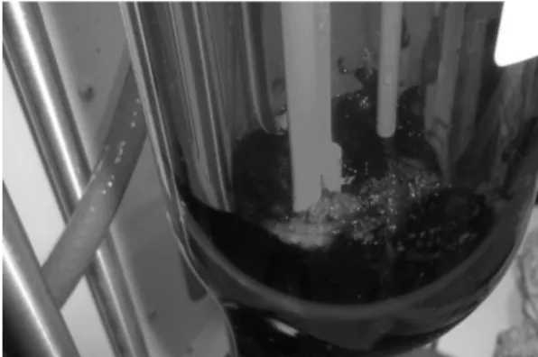 Figure 1. Liquefaction reactor 