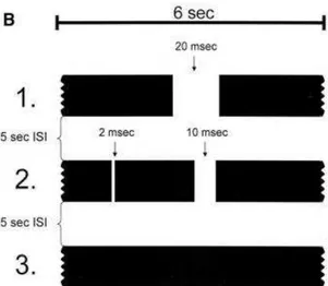 FIGURA 5: Exemplo de alguns estímulos do teste GIN (MUSIEK et al., 2005). 