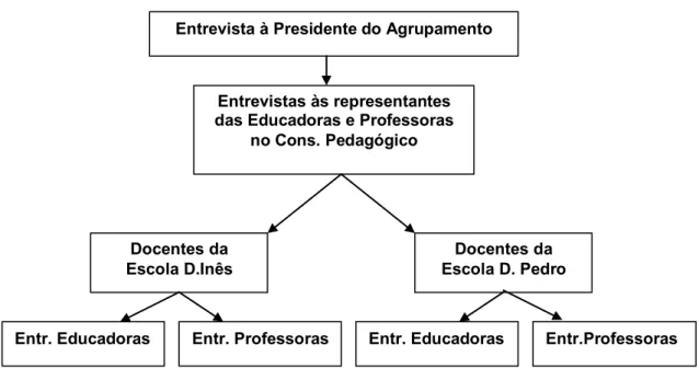 Figura 5 ± Organograma representativo do critério de distribuição e análise das entrevistas 