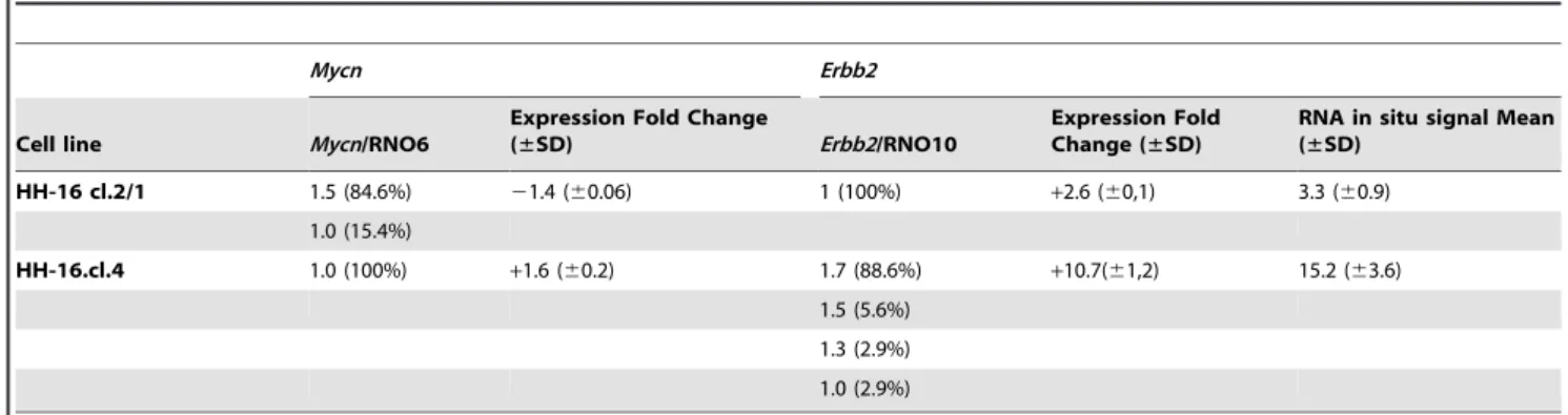 Figure 6. FISH results for Mycn and Erbb2 amplification analysis in HH-16 cl.2/1 and HH-16.cl.4cell lines