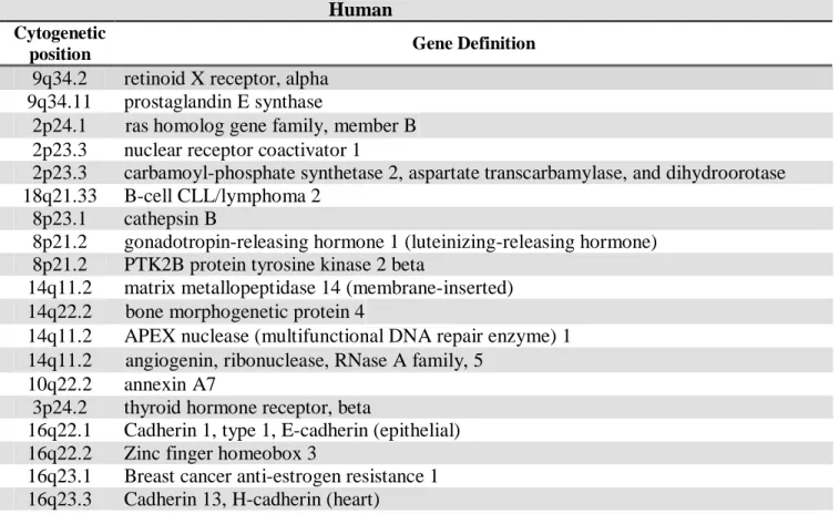 Table S1: In silico analysis of breast cancer related genes present in the most representative rat breakpoint bands, and its correspondent human  homolog