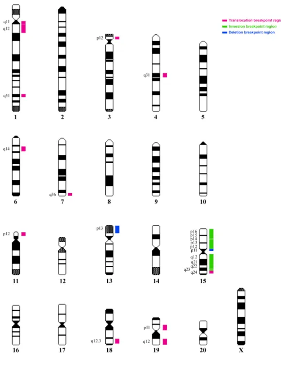 Figure S2- Chromosomal location of the clonal rearrangements breakpoint regions  in HH-16 cl.2/1 cell line