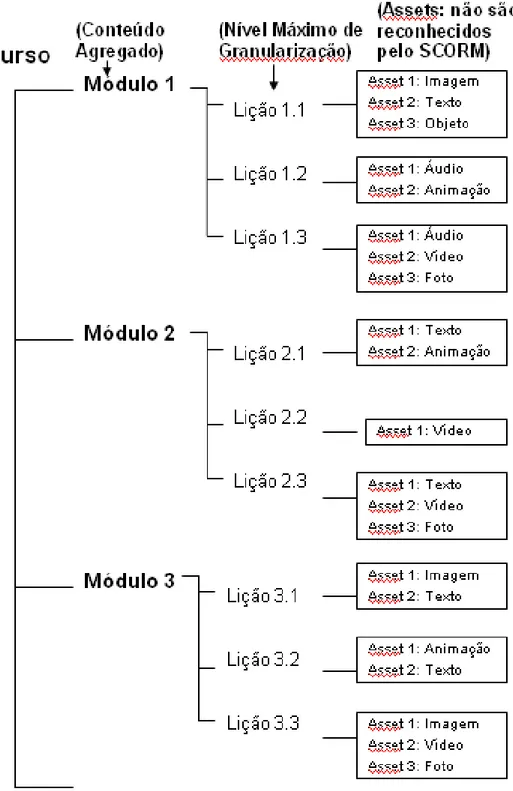 Figura 7 - Estrutura hierárquica do padrão SCORM. 