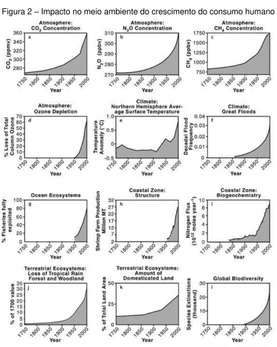 Figura 2  –  Impacto no meio ambiente do crescimento do consumo humano 