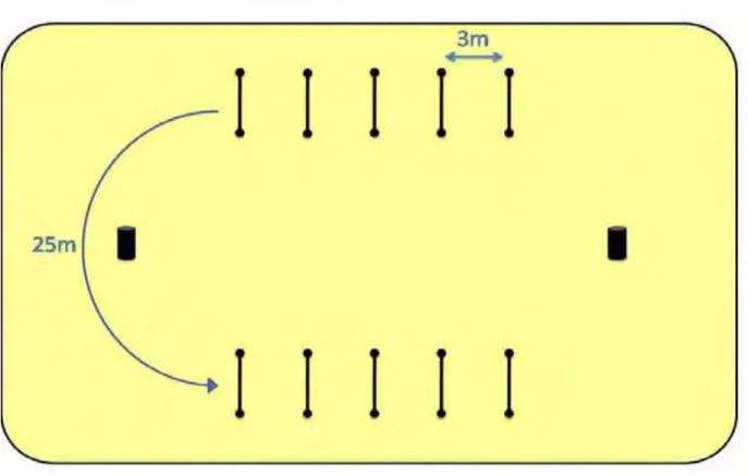 Figura 2. Modelo esquemático do percurso utilizado no teste de saltos incrementais  (TSI)