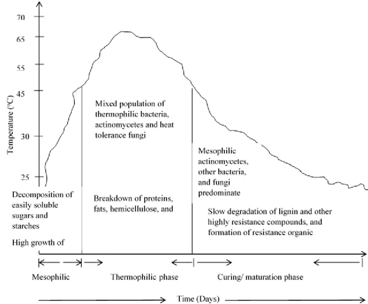 Figure 2 - The phases of the composting process according to the temperature in the pile