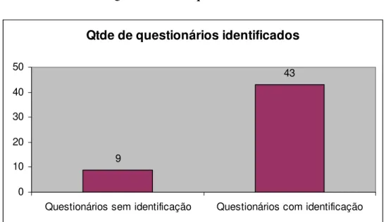 Gráfico 3 - Quantidade de questionários identificados 