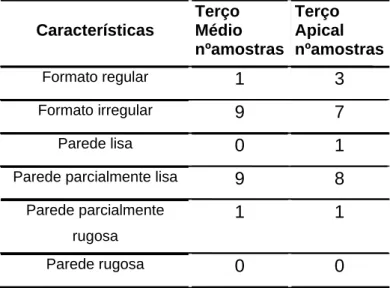 Tabela 10 – Características da superfície e formato do canal radicular  