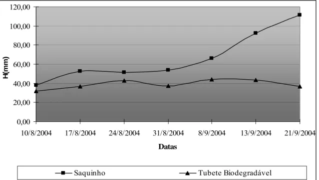 Figura 9 - Médias das  alturas (H) em milímetros (mm) das plantas de blocos não  destrutivos dos saquinhos plásticos e tubetes biodegradáveis
