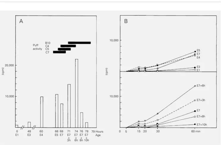 Figure 1 - Secretion of radioactive protein as a function of larval age. The radioactive protein was collected over a period of 1 h after the injection of 1 µl of [ 3 H]-Leu solution into larvae at different ages (E1 to E7+10h)