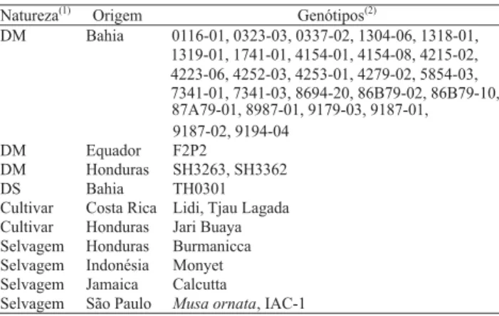Tabela 1. Natureza e origem de 38 diplóides de bananeira  utilizados pelo programa de melhoramento genético na  Embrapa Mandioca e Fruticultura Tropical.