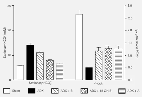 Figure 2 shows results obtained in the experiments of  in vivo  microperfusion of convolute cortical proximal tubules (S2  seg-ments)