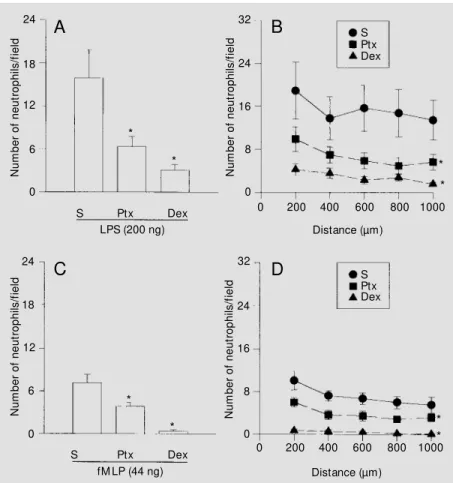 Figure 1 - Pertussis toxin (Ptx) and dexamethasone (Dex) inhibit LPS- or fM LP-induced neutrophil migration into the rat mesentery