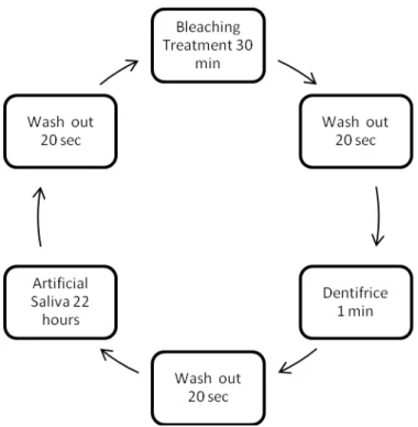 Figure 1. Flowchart – Sequence of bleaching treatment and dentifrice 