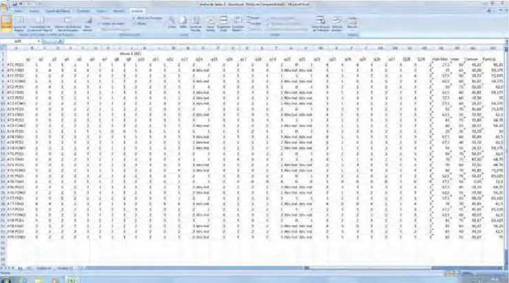 Figura 17 – Print screen da planilha Excel em que os dados foram tabulados. 