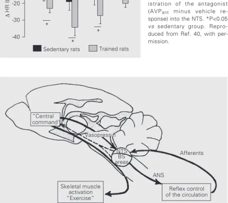 Figure 6 - Comparison of maxi- maxi-mal heart rate (HR) reduction during exercise in sedentary and trained rats pretreated with the V 1  blocker