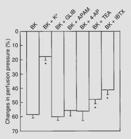 Figure 4 - Vasodilator effect of bradykinin (BK; 40 ng) in the  ab-sence or in the preab-sence of the potassium channel blockers  gli-benclamide (BK + GLIB; 3 µM ), apamin (BK + APAM ; 1 µM ),  4-aminopyridine (BK + 4-AP; 1 mM ), tetraethylammonium (BK + T