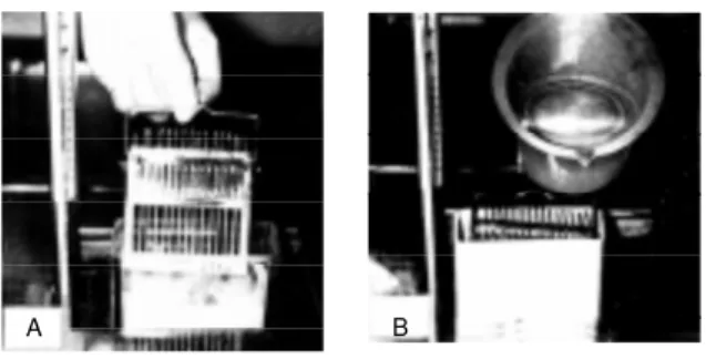 Figure 1 - The standard procedure for preparing LM RAG by w et- et-mounting radioautography
