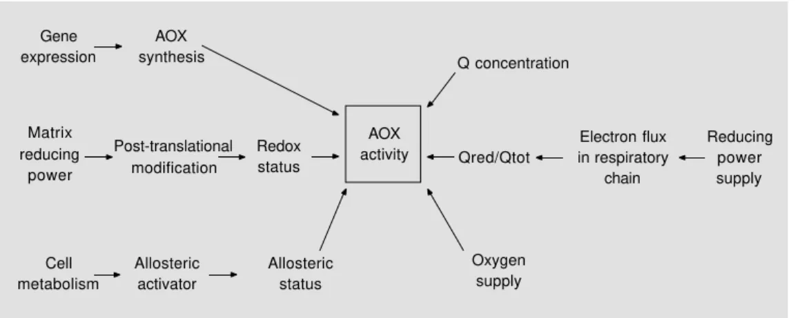 Figure 3 - Mechanism of regula- regula-tion of the alternative oxidase activity.