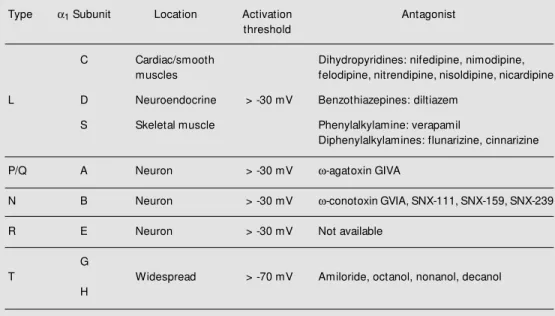 Table 1 - Classification of voltage-operated Ca 2+ -channels.