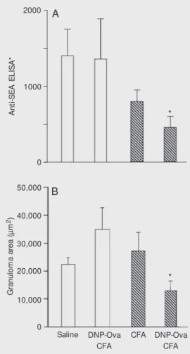 Figure 1. Effect of immunization w ith DNP-Ova plus CFA in  Ova-tolerant and non-Ova-tolerant mice on anti-SEA antibodies (A) and granuloma area (B)