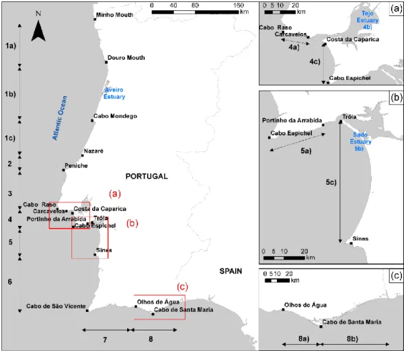 Figure 2.3. Geomorphology of the Portuguese littoral and corresponding partition in 8 distinct  sedimentary cells (based on Santos et al., 2017)