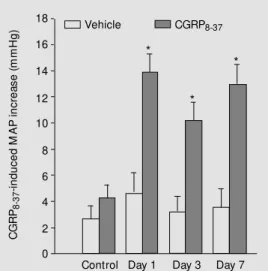 Figure 5. Northern blot analysis of RNA samples from the control and nerve grow th factor-treated spontaneously hypertensive rats.