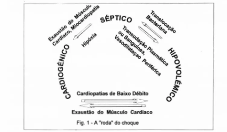FIG. 1 — A «roda» do choque. 