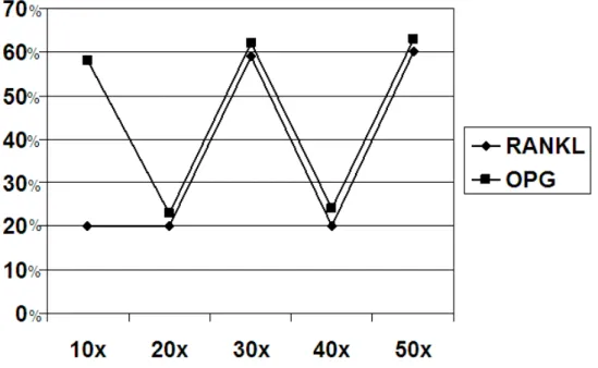 Figura 14 – Gráfico comparando o balanço entre a expressão de RANKL e OPG e a  reutilização das fresas 