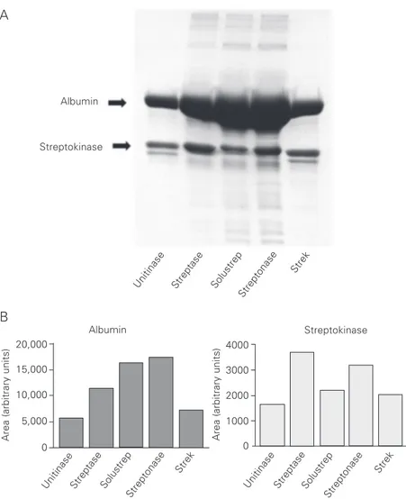 Figure 1. SDS-PAGE analysis of the protein content of five streptokinase formulations