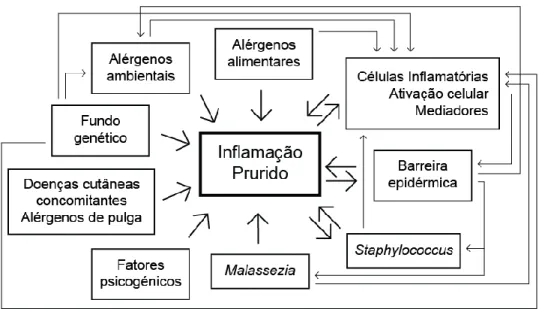 Figura  1.  Fatores  patogénicos  responsáveis  pela  inflamação  cutânea  e  prurido  em  cães  com  DA  e  respetivas  inter-relações (adaptado de(Saridomichelakis et al