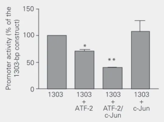 Figure 6. ATF-2 inhibits the 1303- 1303-bp angiotensin converting  zyme (ACE) promoter in an  en-dothelial cell line (REC)