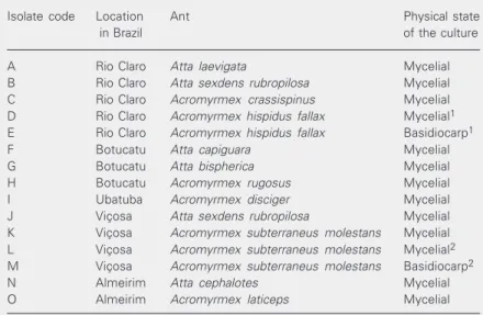Table 1. Leucoagaricus isolates obtained from the nests of leaf-cutting ants.