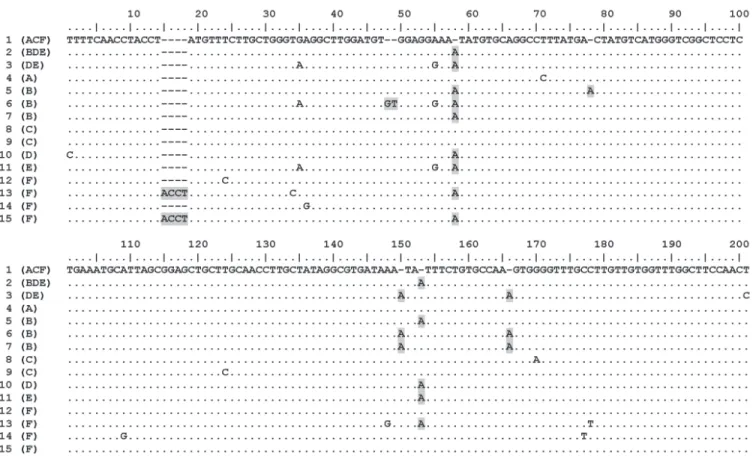 Figure 2. Polymorphic sites of the 15 ITS2 haplotypes of six symbiotic fungal isolates