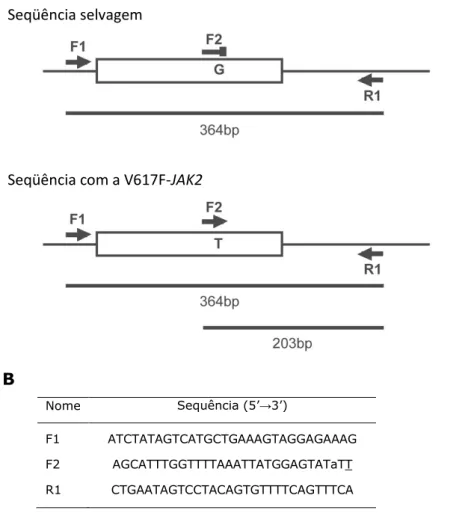 Figura  1:  AS-PCR  para  a  detecção da V617F-JAK2. 