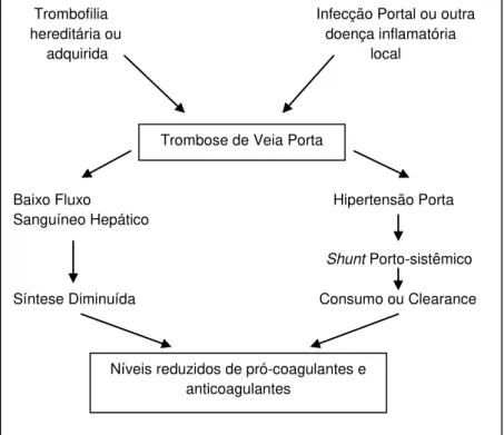Figura  3  –  Mecanismo  proposto  para  a  redução  das  concentrações  das  proteínas  pró  e  anticoagulantes em pacientes com trombose de veia porta