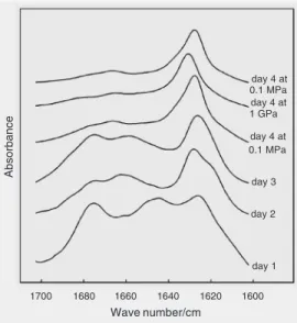 Figure 2. The amide I’ region of the FTIR spectrum of  transthyre-tin 105-115 peptide as a function of time and pressure