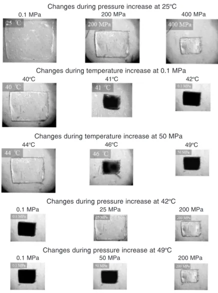 Figure 4. Some examples of microscopic images of the cross-linked poly(N-vinyliso- poly(N-vinyliso-butyramide) (pNVIBA) gels under various conditions.
