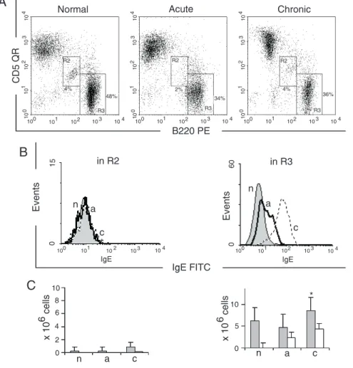 Figure 2 .  Surface expression of B220, CD5 and IgE on cells from Peyer’s patches. A, Dot plot of cells in the lymphocyte gate