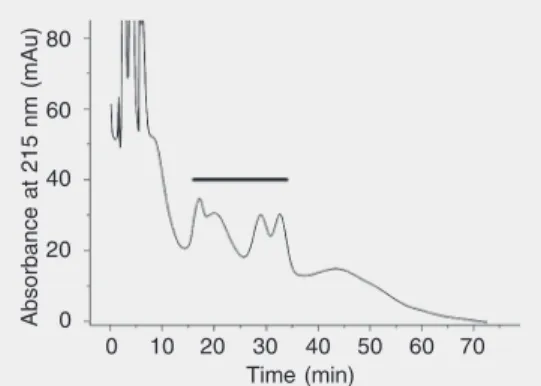 Figure 7. HPLC chromatogram of  Passiflora quadrangularis hemolysin. HPLC conditions: