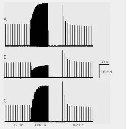 Figure 6 shows that, insofar as the over- over-drive rate was increased from 0.2 to 1.66 Hz (N = 3 hearts, 27 ± 0.1ºC), the atrial force overshoot progressively increased to 84%