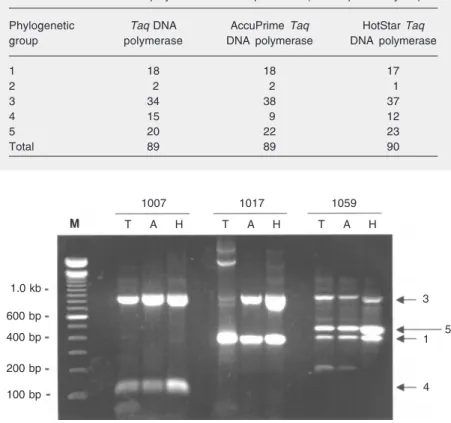 Table 2. Number of Torque teno virus phylogenetic groups detected with three different thermostable DNA polymerases in multiplex PCR (55 samples analyzed).