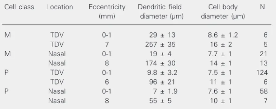 Table 1. Dendritic field and cell body size for M and P cells of the marmoset retina.